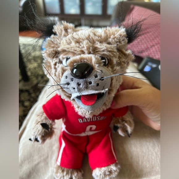 Davidson College Wildcats Mascot NWT - Picture 3 of 6